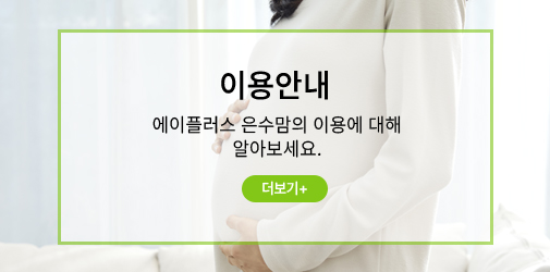 이용안내